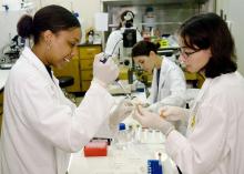 Tuskegee University veterinary student Alexandria Murphy, left, performs a procedure for Dr. Andrea Varela-Stokes, assistant professor at Mississippi State University's College of Veterinary Medicine. Murphy took part in the college's summer research program to explore careers in biomedical research. MSU's new mentoring program may increase the number of minority students enrolled in veterinary schools or advanced degree programs in science. (Photo by Tom Thompson)