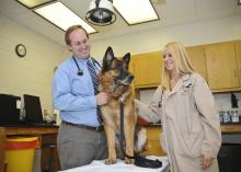 Lex, a retired Marine Corps bomb-sniffing dog, was evaluated at Mississippi State University's College of Veterinary Medicine when his owners noticed he had some difficulty standing. Dr. John Thomason, a CVM small animal internal medicine resident, (left) and Jennifer Evans, a veterinary student, conducted his exam. (Photo by Scott Corey)