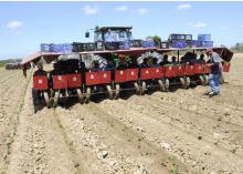 Sixteen workers ride this eight-row transplanter, placing young sweet potatoes in the soil near Vardaman in Calhoun County. (Photos by Scott Corey)