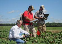 Gary Lawrence and undergraduate students Ben Berch and Patrick Garrard (from left) collect hyperspectral reflectance data from cotton plants infected with reniform nematodes for a grant-funded project at Mississippi State University.