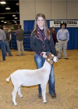 Alexandra Pittman of Forrest County 4-H set a record with her reserve champion medium weight goat, which brought $100 per pound. (Photo by Kat Lawrence)