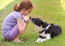 Proper veterinary care can help keep pets healthy and free from parasites, some of which can be passed to people. (Photo by MSU College of Veterinary Medicine/Tom Thompson)