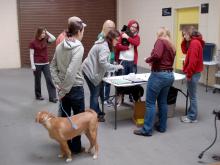 Dogs from 10 Mississippi animal shelters and rescues get ready to head north as part of the Homeward Bound project at Mississippi State University's College of Veterinary Medicine. Volunteers record the arrival of each dog before it goes to various stations to ensure it is ready for transport to the Northeast, where there is a shortage of puppies available for adoption. (Photo courtesy of Ryan Gibson)