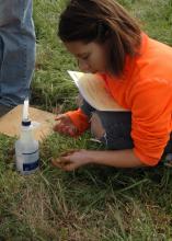 Jasmine Kerezsi, a member of the Harrison County junior 4-H Land Judging team, estimates the texture of topsoil at one of four judging sites during the March 21 state competition, held in Flora. (Photo by MSU Ag Communications/Susan Collins-Smith)