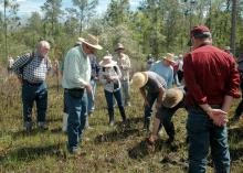 Louisiana botanist Charles Allen describes the four types of carnivorous plants found in the Crosby Arboretum's Hillside Bog during a field walk April 6. The field walk followed Allen's lecture on edible and useful plants of the Gulf South and was co-sponsored by Mississippi State University's Crosby Arboretum and Longue Vue House and Gardens in New Orleans. (Photo by MSU Ag Communications/Susan Collins-Smith)