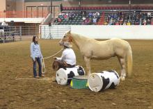 World-renowned horseman Pat Parelli gives Mississippi State University sophomore Katie Cagle of Tupelo and her horse, Popeye, some personal instruction in the Tunica arena on Oct. 19, 2013. (Photo by MSU Ag Communications/Linda Breazeale)