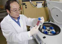 Dr. Henry Wan inspects a vial of influenza virus in his laboratory at the Mississippi State University College of Veterinary Medicine. His influenza research program trains students who are interested in medical research and furthers influenza prevention, diagnosis and treatment information. (Photo by MSU College of Veterinary Medicine/Tom Thompson)