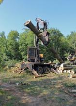 Forest products reclaim the No. 2 spot in Mississippi's list of agricultural commodities, with a preliminary year-end harvest value estimated at $1.17 billion, a 14.6 percent increase from 2012. (Photo by MSU Office of Ag Communications/Keri Collins Lewis)