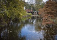State regulations govern on-site wastewater disposal systems to protect Mississippi’s people and environment. (File photo by MSU Extension Service/Kevin Hudson)