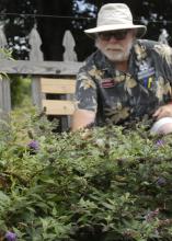 Gary Bachman, Mississippi State University Extension Service horticulturist, advocates the use of spot color to enliven landscapes. (Photo by MSU Extension Service/Bonnie Coblentz)