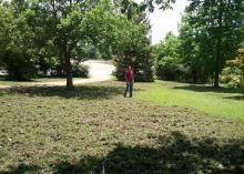 A man stands near a tree in a home’s front yard where the majority of the lawn has been uprooted by wild hogs.