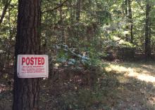 A sign nailed to a pine tree in a wooded area that reads, “POSTED PRIVATE PROPERTY.”