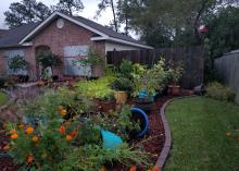  Several blue containers in this colorful landscape garden are blown over after heavy storm winds.