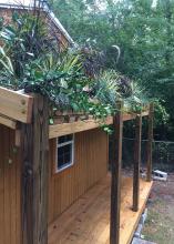 A variety of plants grow on the roof over the small porch of a wood-sided building.