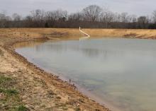 A partially filled pond with minimal plant life visible around the banks.