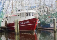 A red shrimp boat with similar boats behind and beside it.