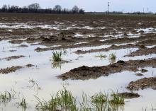 An overcast sky is reflected in water standing over and between the rows of a muddy field.