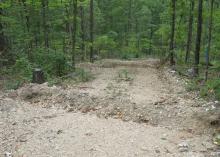 A single-lane dirt road runs through a green forest with a slightly raised dirt structure running across from one side to the other and another similar diversion several yards further up the road.