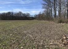 A harvested field spans out with trees lining the right edge and far side on a sunny day.