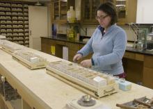 Small, cardboard containers in trays lie in a row on a workbench while a woman works with the contents of one.