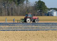 Two workers walk behind a red tractor in a field.