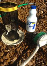 Bird feeder, bottle of bleach and cleaning brush.