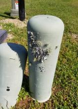  Plant material grows on the side of utility covers on the ground.