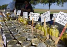 Glass jars filled with produce are lined up with price tags.