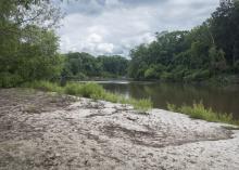 A small river runs through a wooded area with a sand beach.