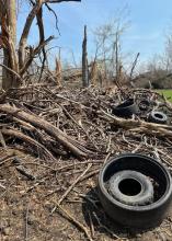 Limbs and tires on the ground in front of splintered tree trunks.