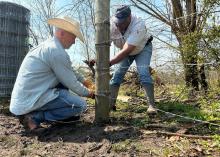 Two men tie barbed wire around a fence post.