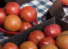 Baskets of tomatoes are placed on a table.