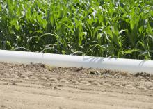 Small streams of water squirt from a white pipe.