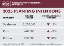 A chart shows the number of acres that Mississippi producers intend to plant in 2025 for the following crops: soybeans, 2.25 million acres, which is 2 percent less than the acreage planted in 2024; corn, 690,000 acres, which is a 41-percent increase from 2024; and cotton, 360,000 acres, which is a 31-percent decrease from 2024’s acreage.