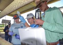 Three young people hold medical equipment in a barn.