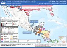 A map shows the recent spread of the New World Screwworm.