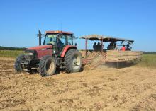 This tractor creeps across a Vardaman, Mississippi, field Sept. 20, 2016, digging sweet potatoes while workers sort them based on size and quality. (Photo by MSU Extension Service/Linda Breazeale)