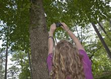 The natural beauty found on Mississippi’s public lands can turn the camera’s focus to the canopy of leaves dancing in the light overhead. This visitor to a wildlife refuge is documenting memories that can last a lifetime. (File photo by MSU Extension Service/Kevin Hudson)