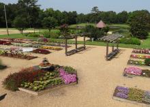 All-America Selections placed the Mississippi State University Truck Crops Branch Experiment Station in Crystal Springs second among North American gardens that receive 10,000 to 100,000 visitors annually. The Display Garden -- with 75 AAS winning varieties incorporated into the 30 raised beds and a three-tiered hexagonal mound -- is the focal point of MSU’s Fall Flower and Garden Fest each October. (Submitted Photo)