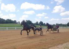 Harness racers take a practice run around the newly renovated track at the Mississippi Horse Park near Starkville. On May 22, sanctioned races will return to the complex, which is a division of the Mississippi State University Extension Service. (Submitted photo)