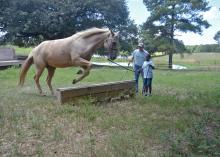 Mississippi State University Extension agent David Carter watches Fred Lane, 9, guide a horse over an obstacle during the Adams County Farm Camp near Natchez, Mississippi, on July 7, 2016. (Photo by MSU Extension Service/Linda Breazeale)