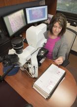 Dr. Alicia Olivier, an assistant professor in the Mississippi State University College of Veterinary Medicine, prepares to view a histology slide from a necropsy under a microscope. MSU offers this service to help determine causes of death for animals. (Photo by MSU-CVM/Tom Thompson)