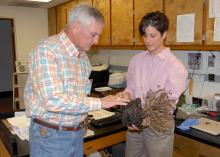 Lynn McMahan of Vancleave, past president of the Mississippi Master Gardeners, learns about plant diseases from Clarissa Balbalian, manager of the Mississippi State University Extension Service's plant diagnostic lab, during campus tours in 2013. (File photo by MSU Ag Communications/Linda Breazeale)