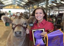 Jasper County 4-H member Lacie Winn finished her 4-H livestock project career at the Mississippi State Fair in Jackson, Mississippi. Winn placed with Drake, her European crossbred steer, in the competition on Oct. 8, 2016. (Submitted photo)