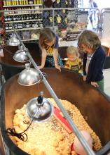Choosing the right breed of chickens for a backyard flock is an important decision. From left, Tripp, Luna and Charlie Sanders examine chicks for sale March 8, 2017, in Starkville, Mississippi. (Photo by MSU Extension Service/Kat Lawrence)