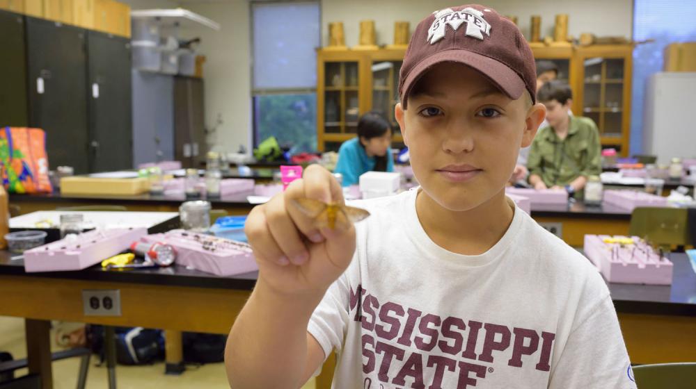 Ryals Strider Discovers Bugs A young boy wearing a Mississippi State t-shirt holds a butterfly-like insect out toward the camera.