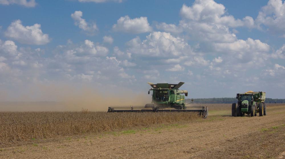 Soybean Harvest A large, green combine machine plows a soybean field while a green tractor rides beside it.