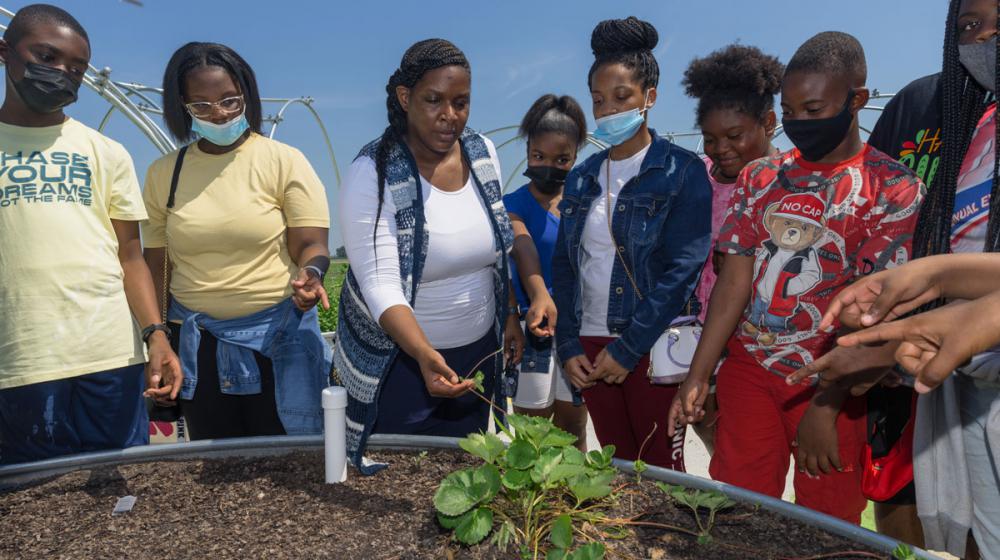 A group of teens examining a plant with a teacher.