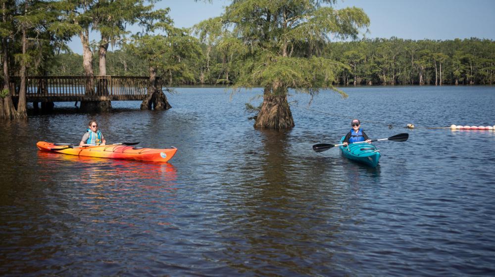 Two children kayaking on the water.