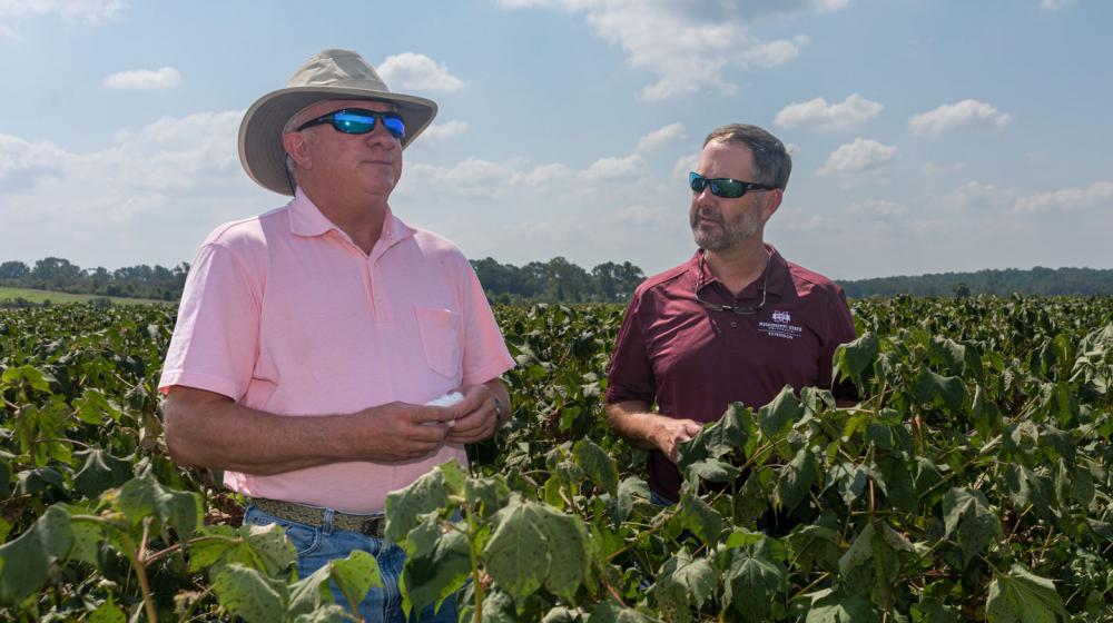 A man wearing a cowboy hat and pink polo looking out over a field and a man in a maroon shirt and sunglasses behind him.